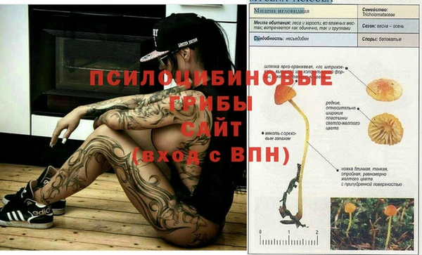 мяу мяу мука Беломорск