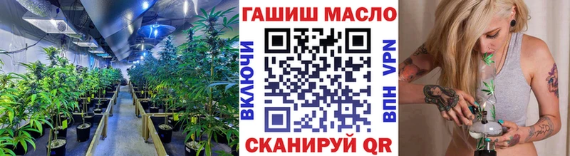 ссылка на мегу ссылка  Бородино  Дистиллят ТГК гашишное масло 
