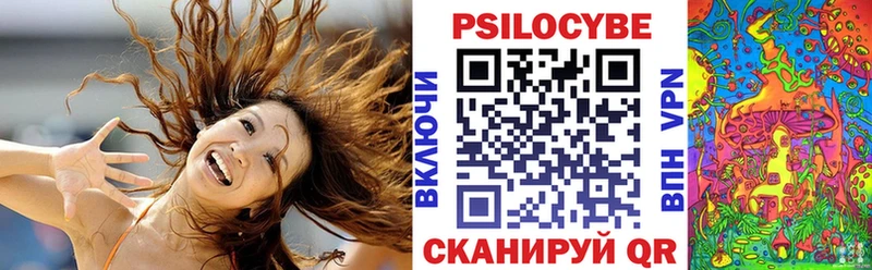 Галлюциногенные грибы мицелий  Бородино 